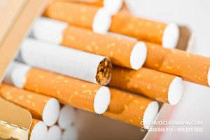 thuốc lá là gì nguồn gốc thuốc lá