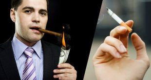 xì gà và thuốc lá cài nào độc hại hơn