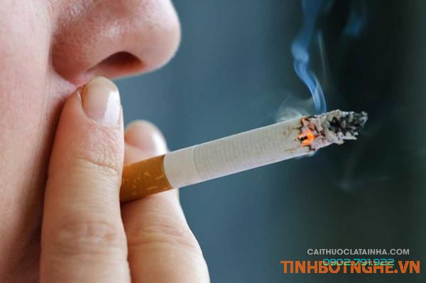Hút thuốc lá có gây hại cho gan ?