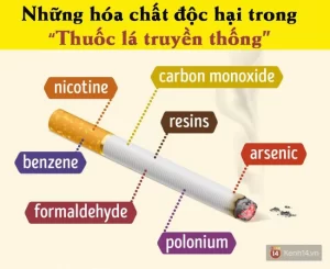 Khoa học điểm mặt tác hại kinh hoàng của tất tần tật loại thuốc lá bạn vẫn hút