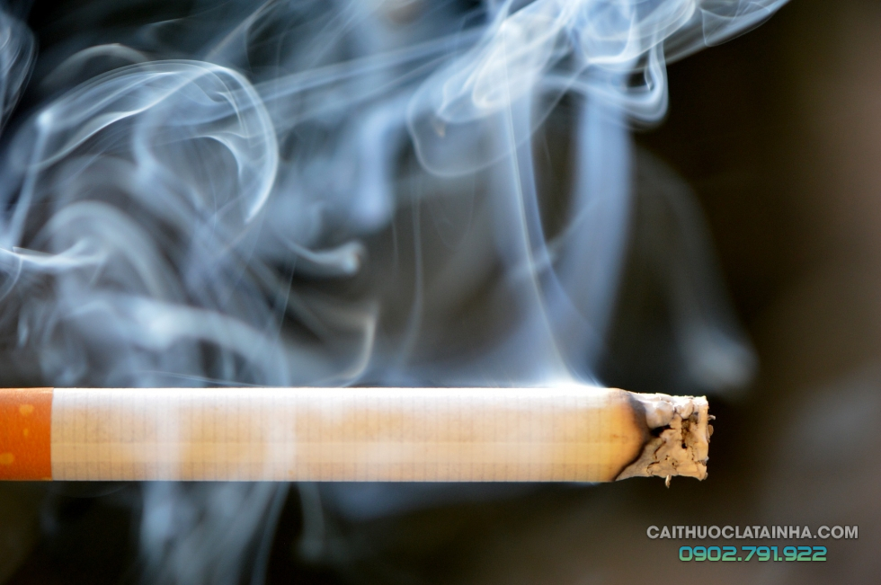 Bài viết khá đầy đủ về tác hại của thuốc lá