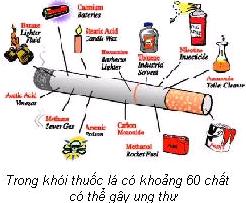Tác hại của thuốc lá đối với sức khỏe con người